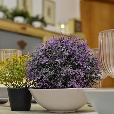 Dulci Du Mont Blanc קורמאיור